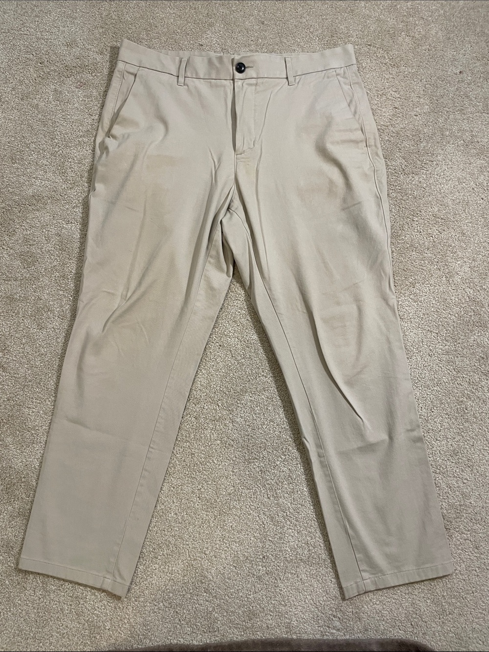 Everlane Beige Slim Tapered Chinos